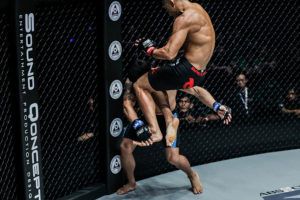 MArtin Nguyen flying knee