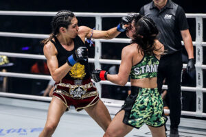 Janet Todd punches Stamp Fairtex 2