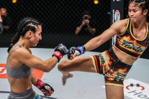 Stamp Fairtex kick